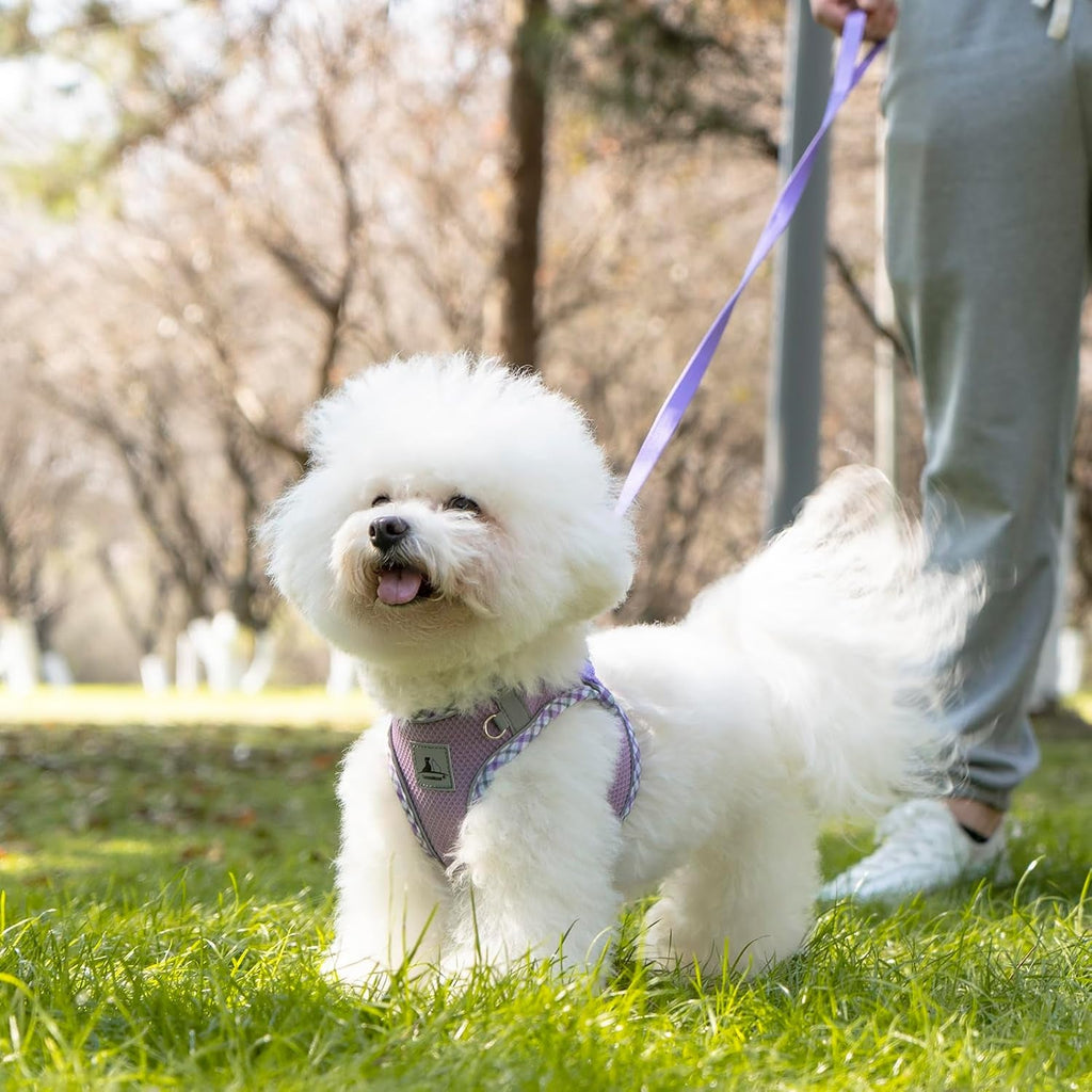 Reflective and Adjustable No Pull Harness Vest and Leash Set - Small Dog Cat (6 Color Option)
