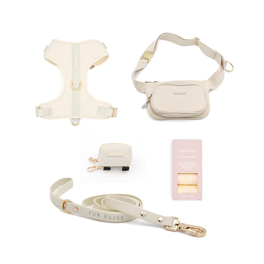 The Ultimate 3-Pc Walk Set - (Bone White) - (XS-L) - Dog