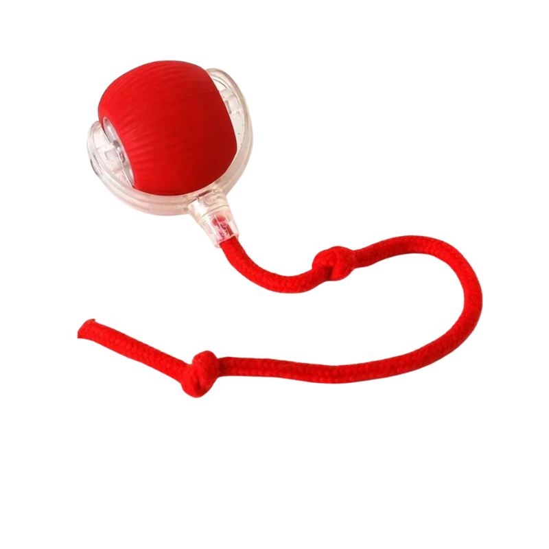 Interactive Smart Self-Rolling Ball - Cat - (6 Color Options) - (While Supplies Last)