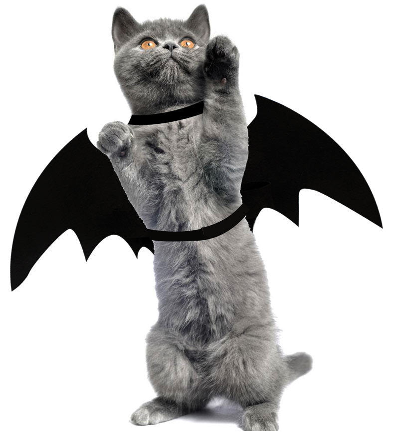 Halloween Bat Costume - Dog Cat - (S-L and Adjustable) - (Black)