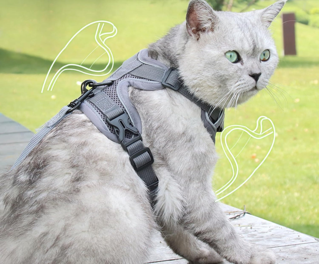 Reflective Escape Proof and Adjustable Harness and Leash Set - (3 Color Options) - (M-XL) - Dog Cat - (While Supplies Last)