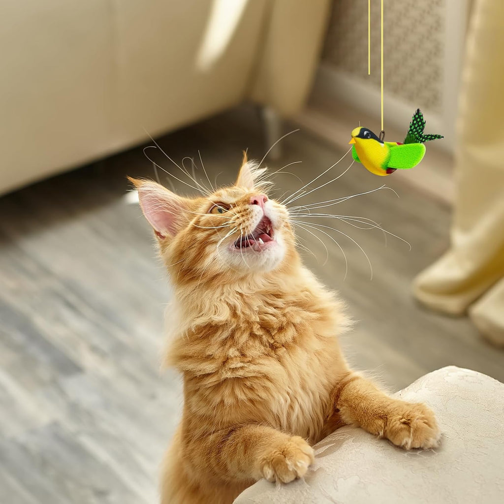 Hanging Catnip Bird with Elastic Cord for Cat Play - (While Supplies Last)