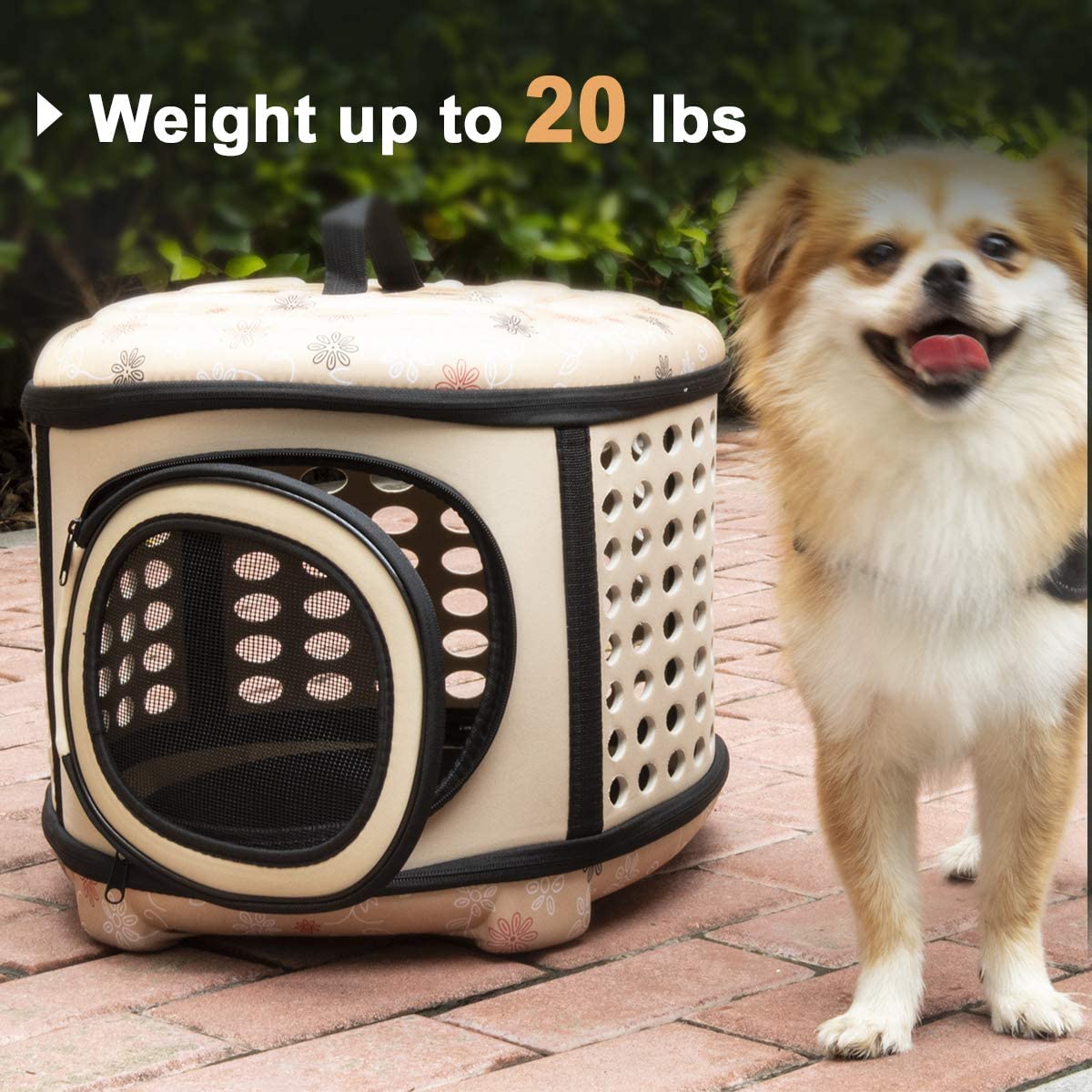 Foldable Crate and Pet Carrier - Dog Cat - (4 Color Options) - (18"x15"x13")