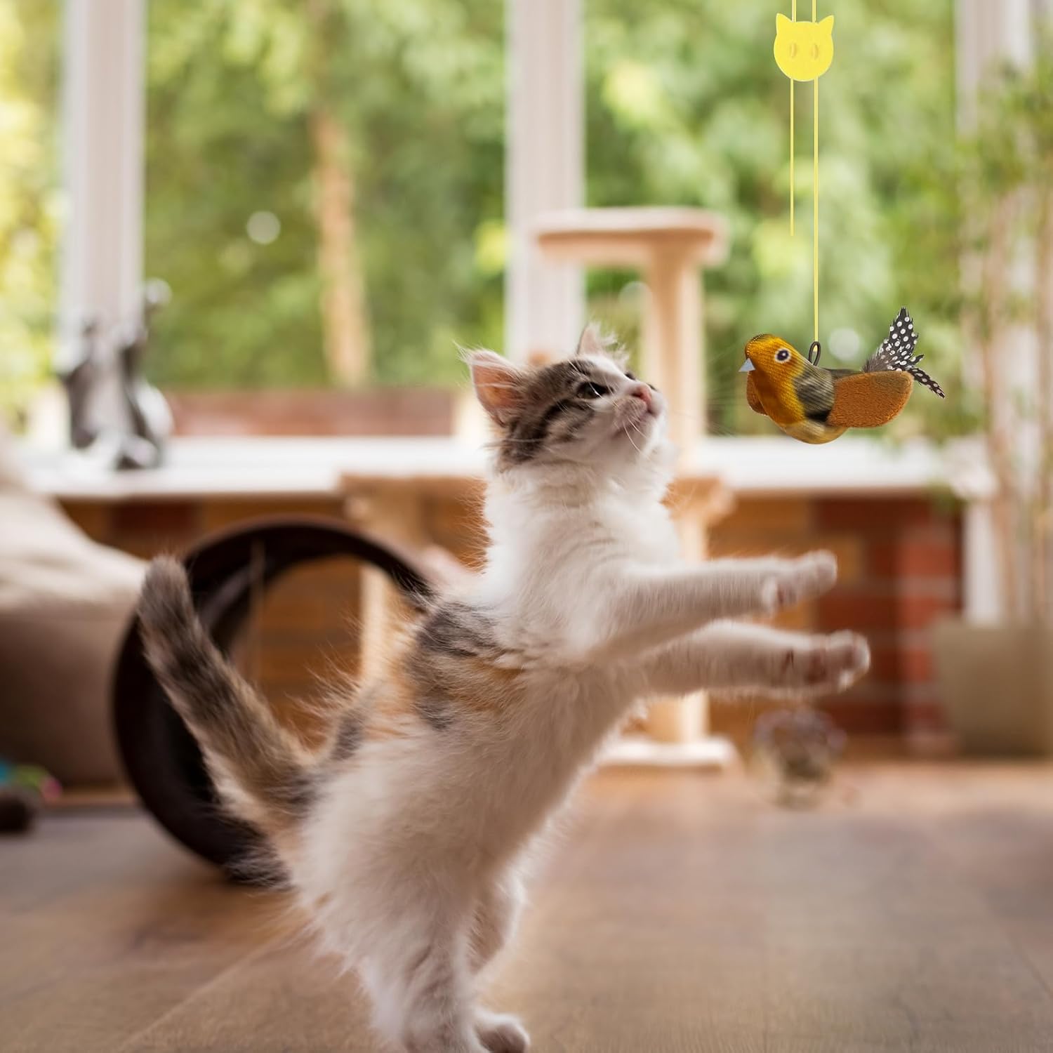 Hanging Catnip Bird with Elastic Cord for Cat Play - (While Supplies Last)