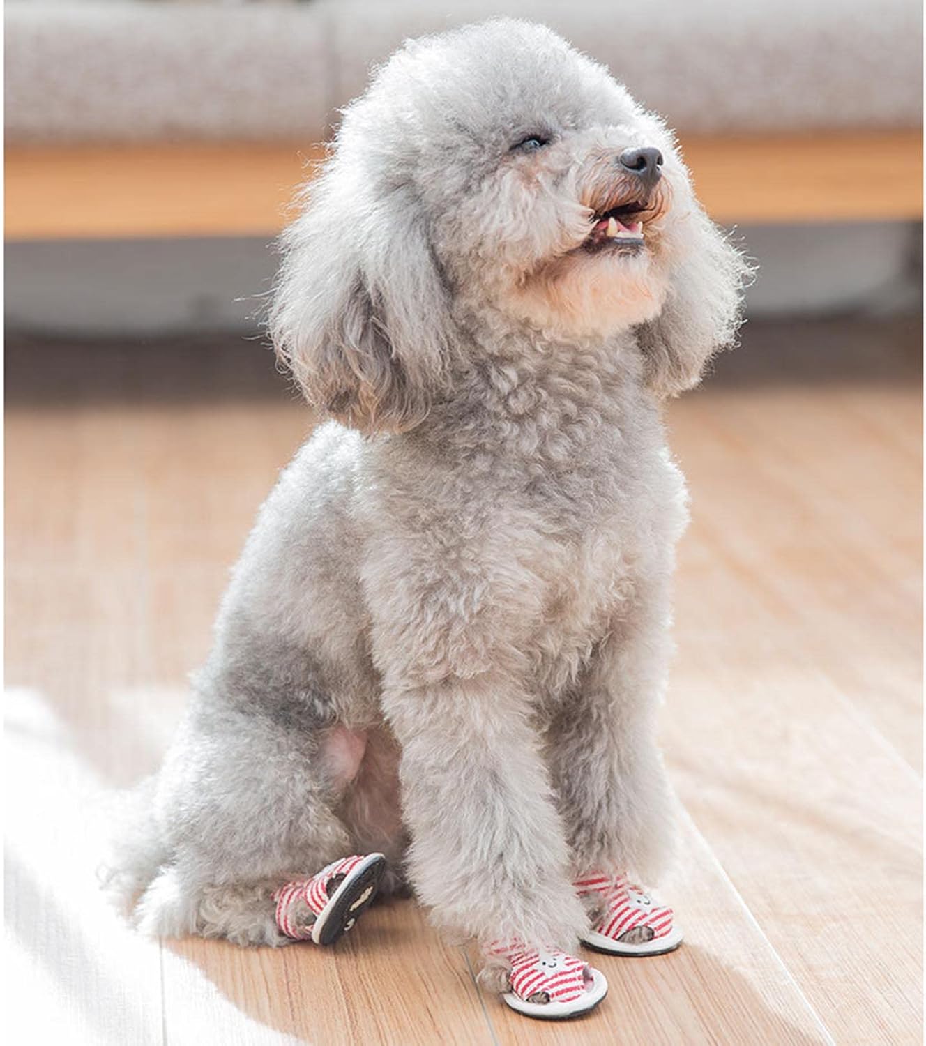 Striped Anti-Slip Adjustable Sandals - Dog (3 Color Options)  - (1#-5#)