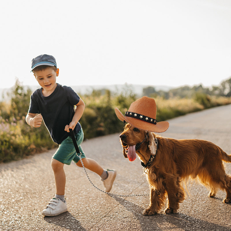 Stylish Cowboy Hat - Dog Cat - (3 Color Options) - (S-M)