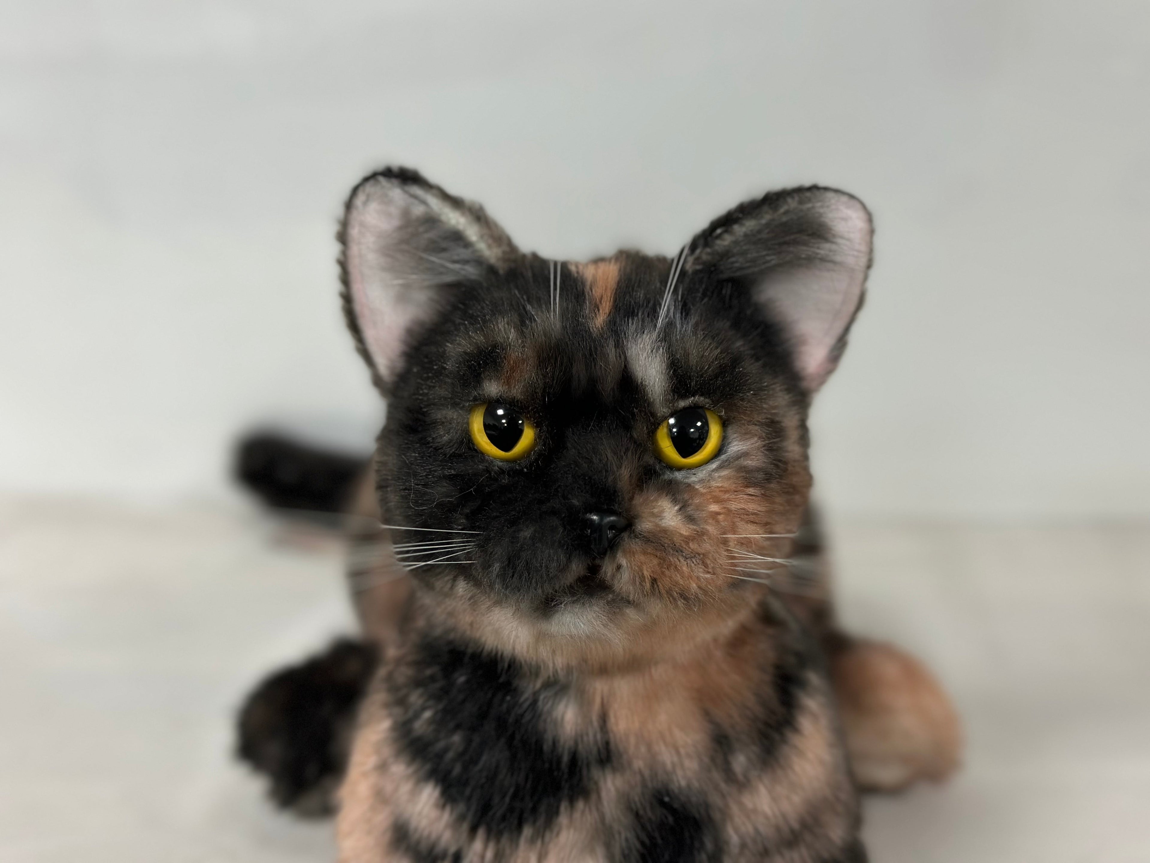 Realistic Shorthair Tortoiseshell Plush Cat Companion - Child, Adult - (Brown)