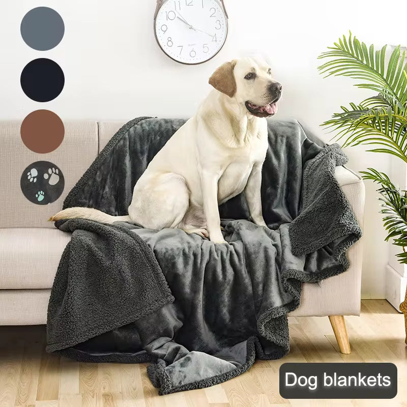 Pet Blanket - Dog - (4 Color Options) -  (Sherpa) - (XS-XXL)