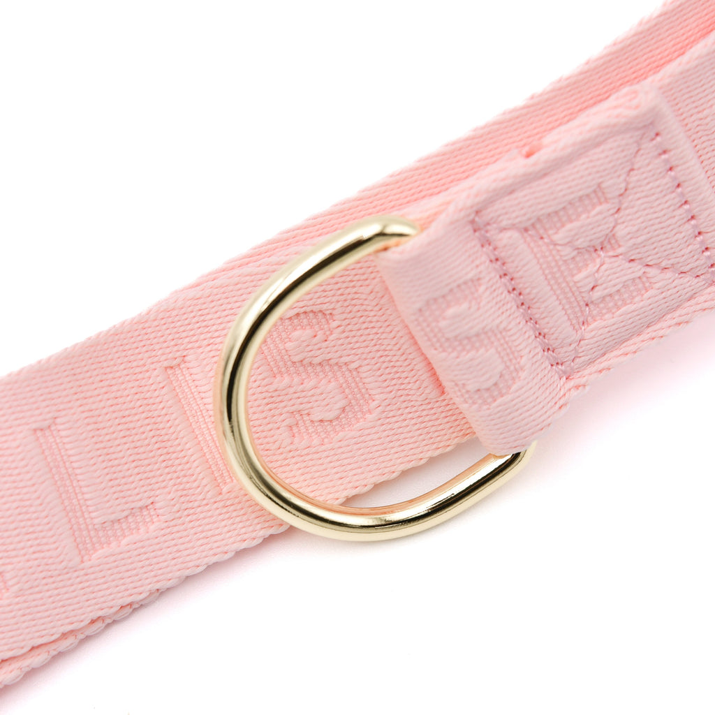 Dog Walking Fanny Pack, Poo Bags Pouch - (Rose Pink) - Dog