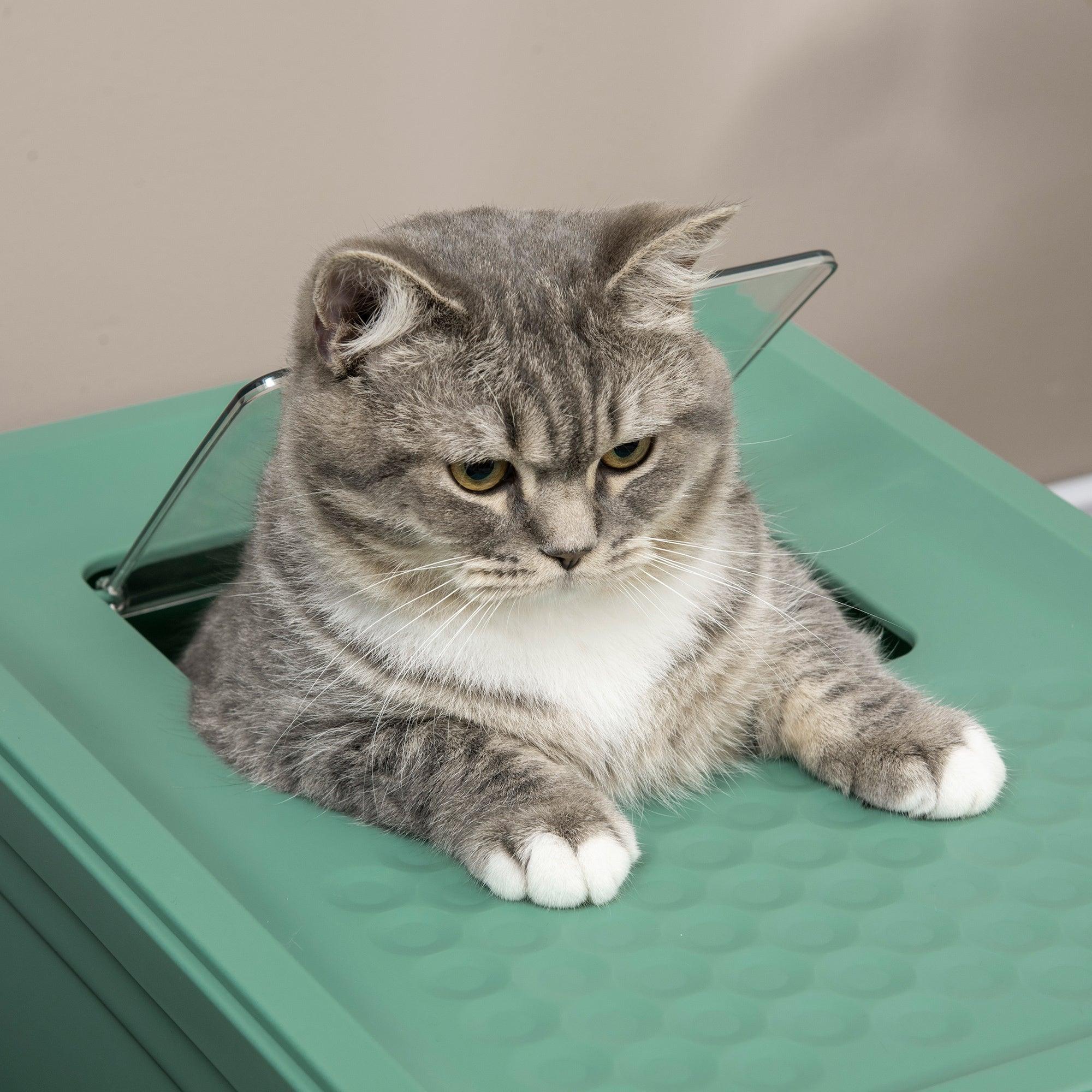 Fully Enclosed Odor Control Litter Box - Cat - (Green)