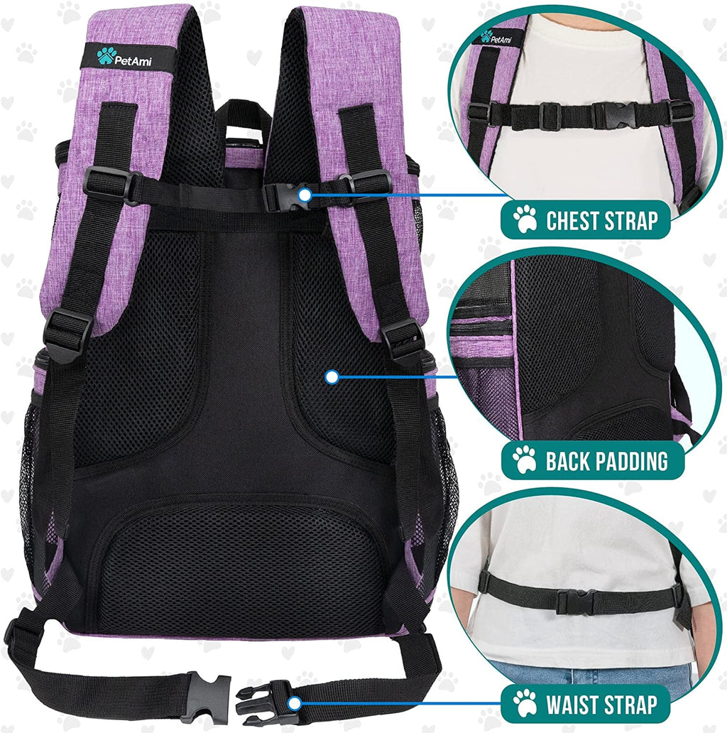 Airline Approved Pet Carrier Backpack  - Dog Cat - (Black+Purple) - (One Size: 16.5 x 12.5 x 12 inches) - (PetAmi) - (While Supplies Last)
