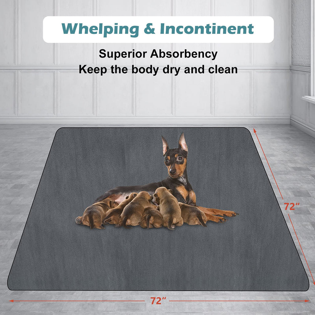 Pee Pad - Dog -  (Reusable) (Non-Slip) - (XL) - (72"x72")  - (INVENHO) - (While Supplies Last)