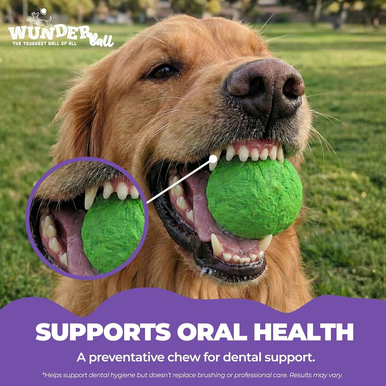 Fetch Toy Reinvented - Dog - (WUNDERball) - (5 Color Options) - (S-XL) - (While Supplies Last)