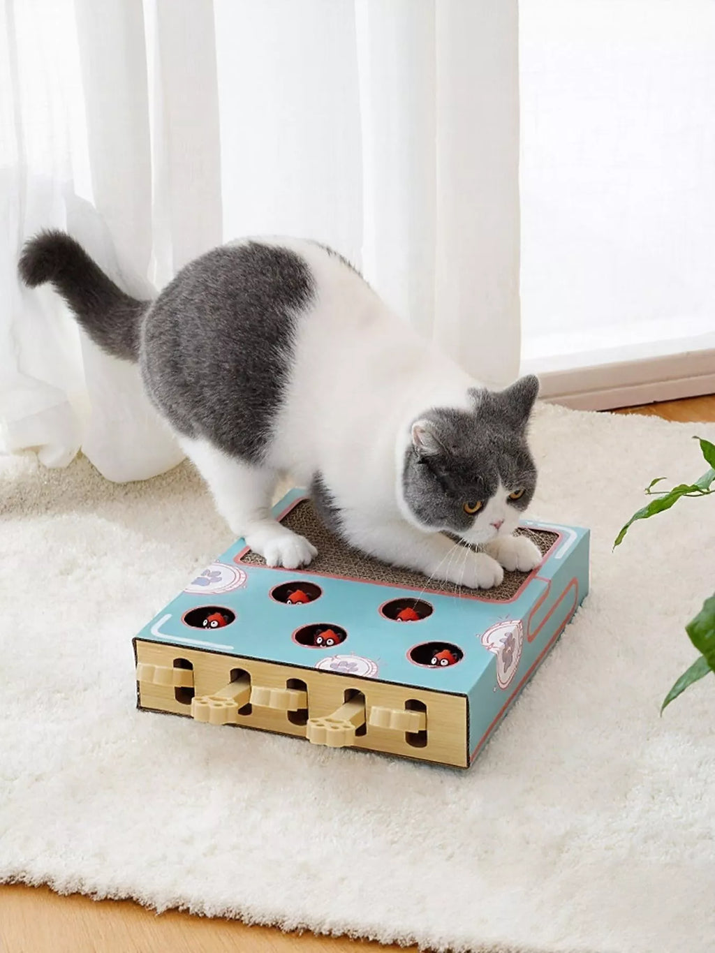 Interactive Whack-A-Mole Toy Box - Cat - (2 Options) - (One Size)