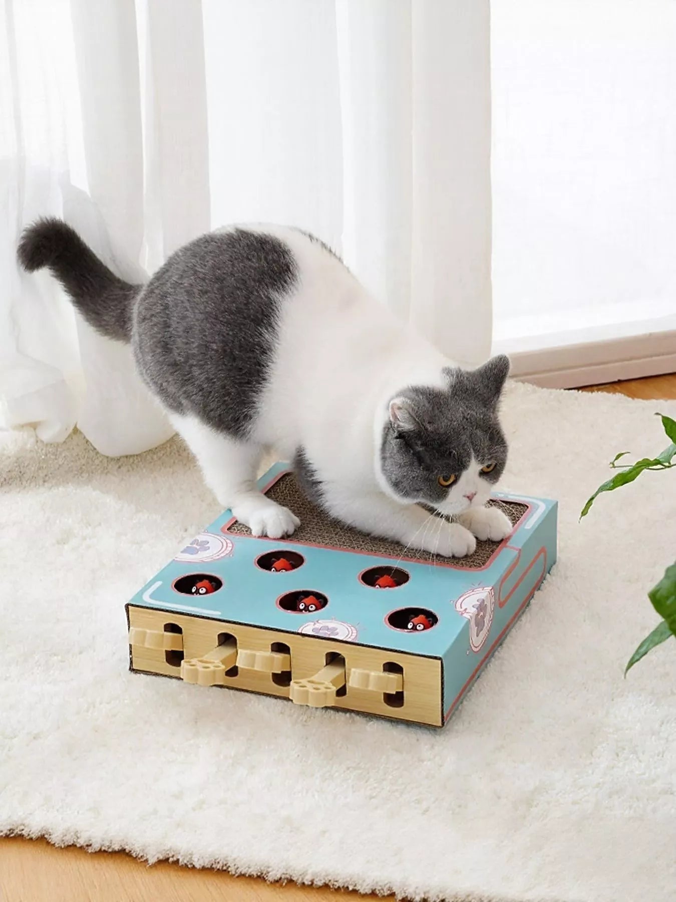 Interactive Whack-A-Mole Toy Box - Cat - (2 Options) - (One Size)