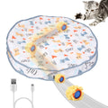 Interactive Fast Rolling Toy Ball - Cat - (Rechargeable Battery) - (While Supplies Last)