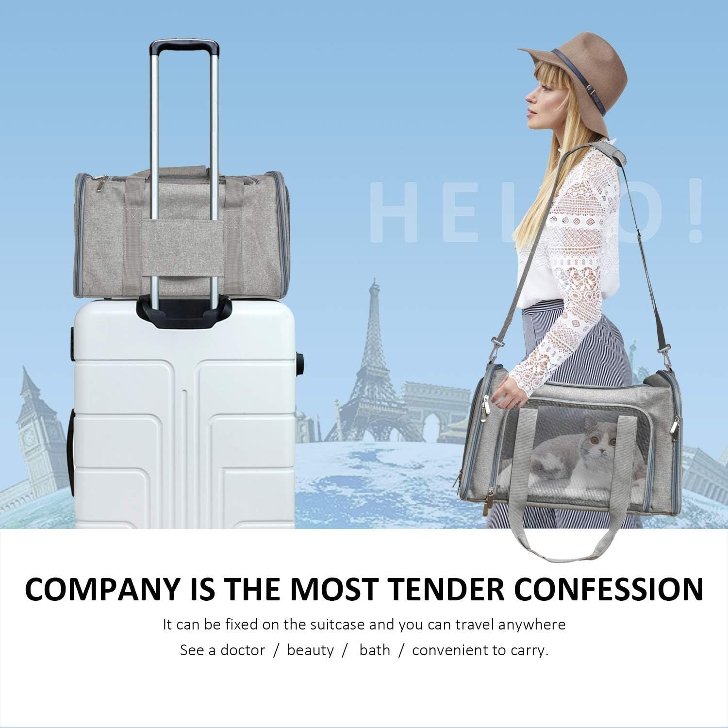 Airline Approved Pet Travel Carrier Bag - Dog Cat - (S,M,L) - (Grey)
