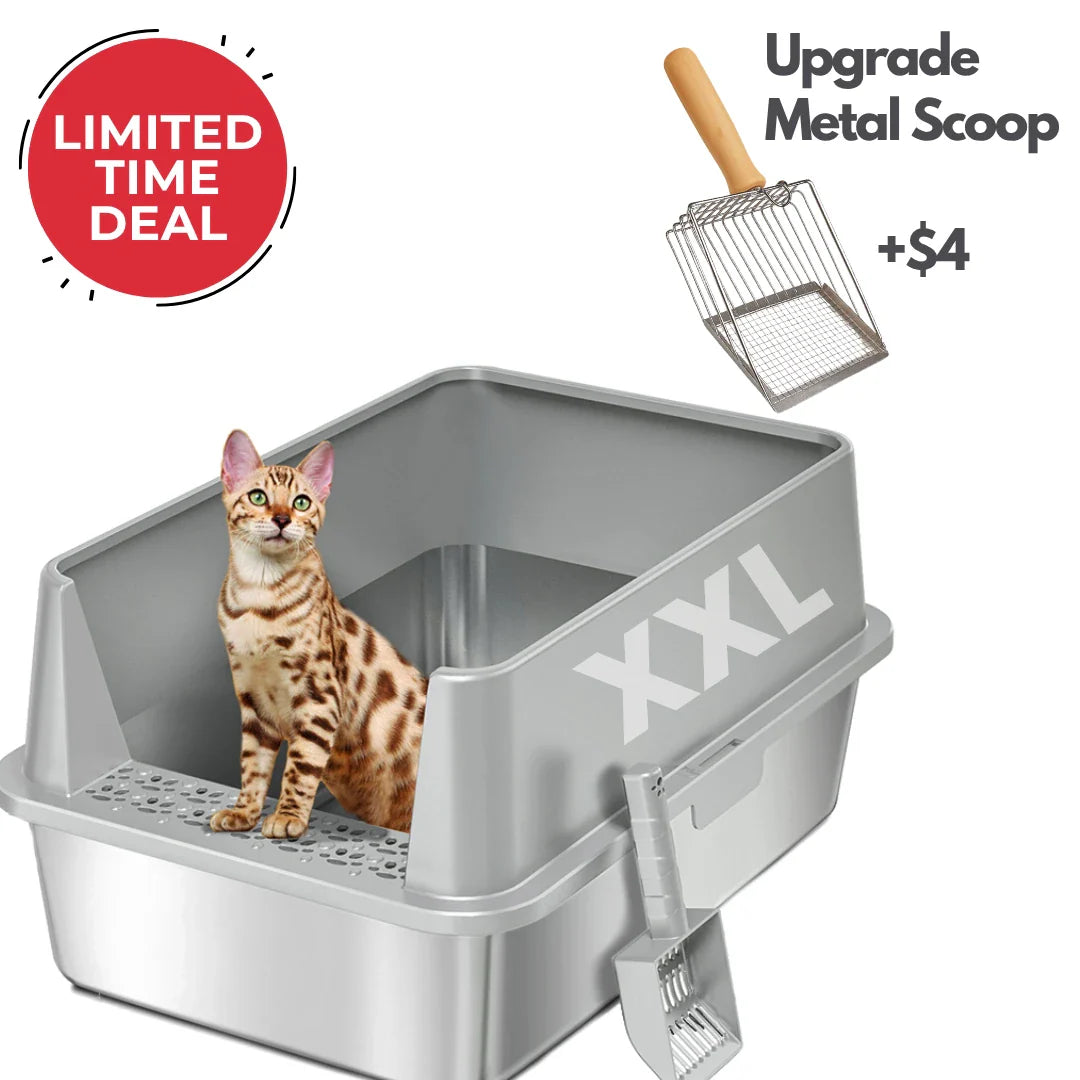 High Sided Rust-Free Litter Box - Multi-Cats - (Stainless Steel) - (XXL) - (3 Color Options)
