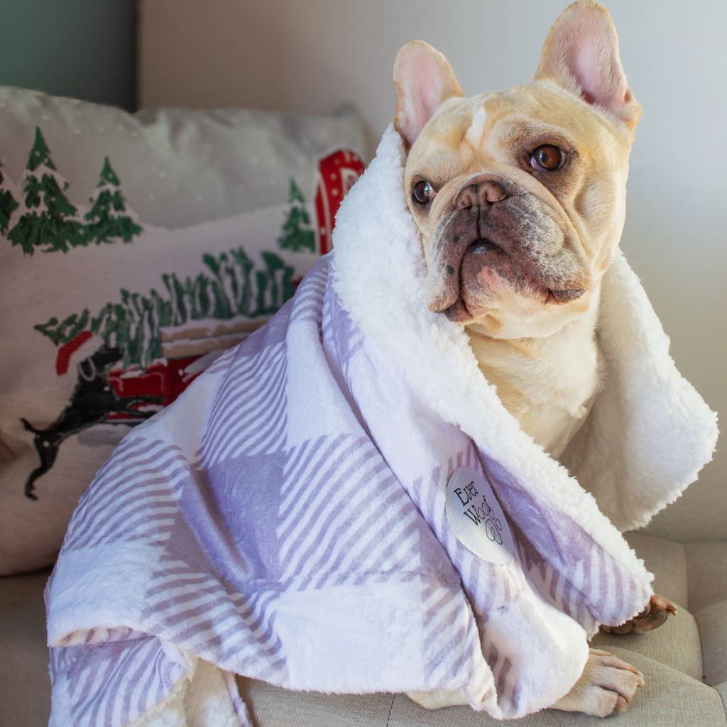 Pet Blanket - Dog - (Sugar Plum)  - (2.2ft x 3.2ft) - (Double-Lined Throw) - (While Supplies Last)