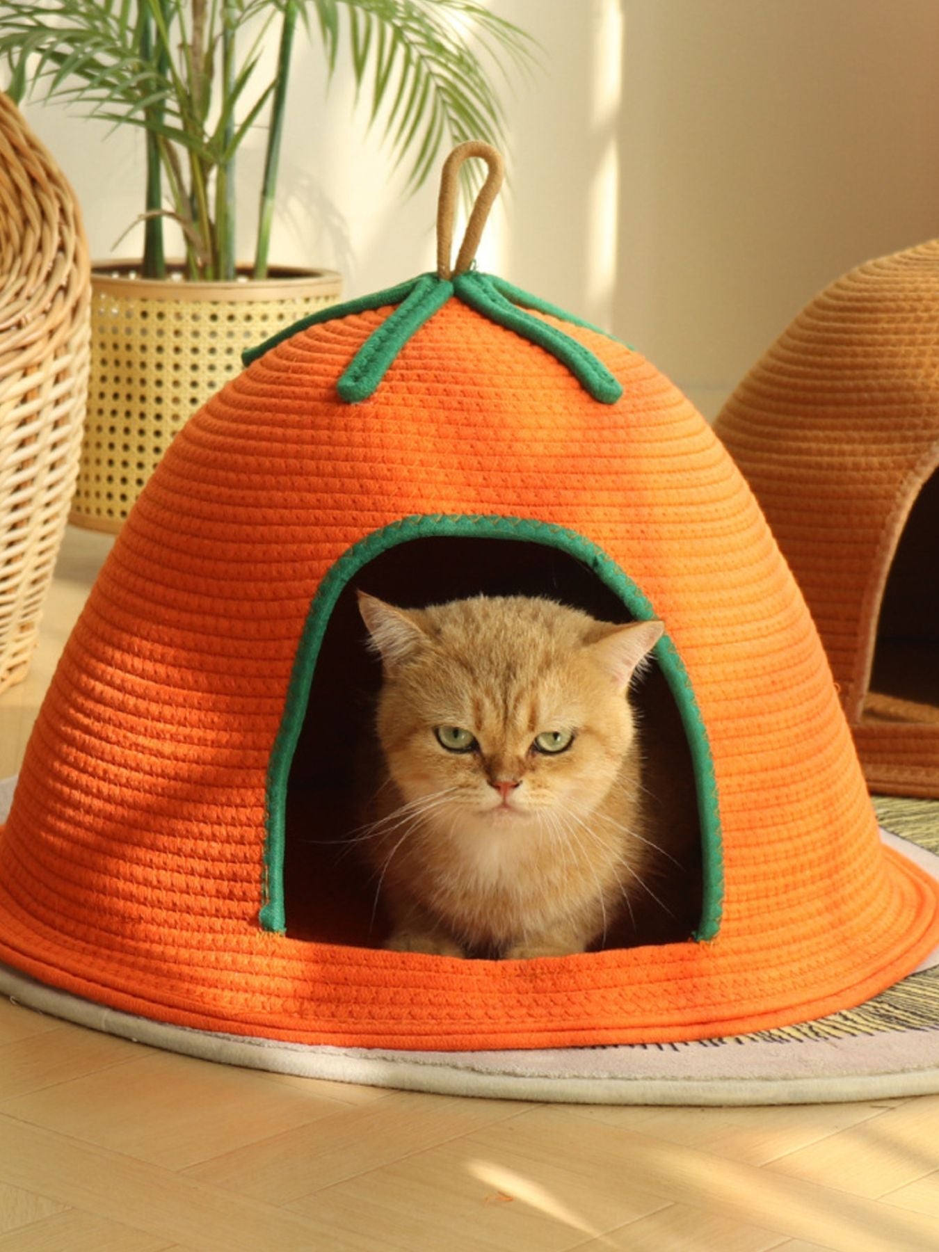 Cozy Rope Woven Cave Bed with Handle - Cat - (3 Color Options) - (S, L) - (While Supplies Last)
