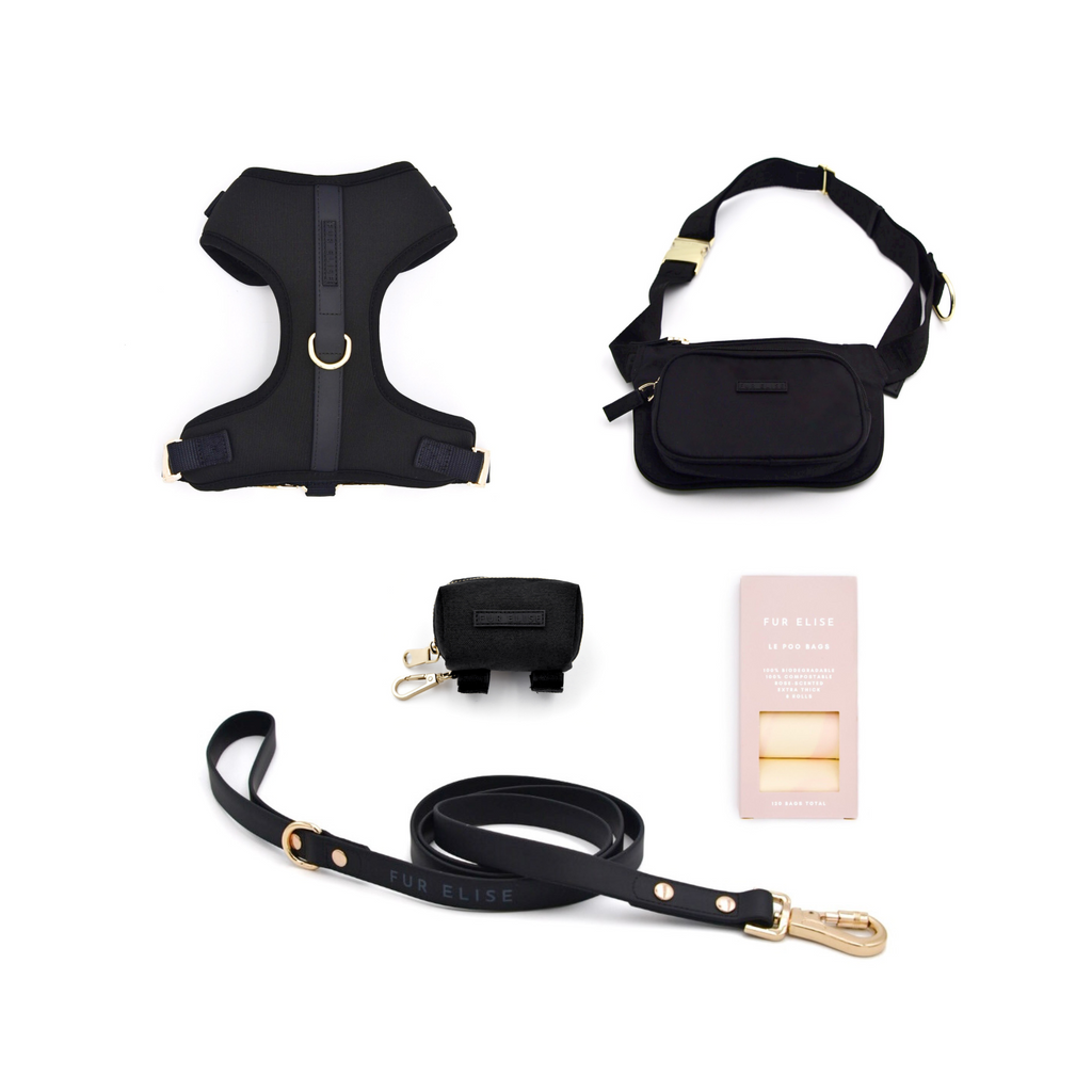 The Ultimate 3-Pc Walk Set - (Noir Black) (XS-L) - Dog