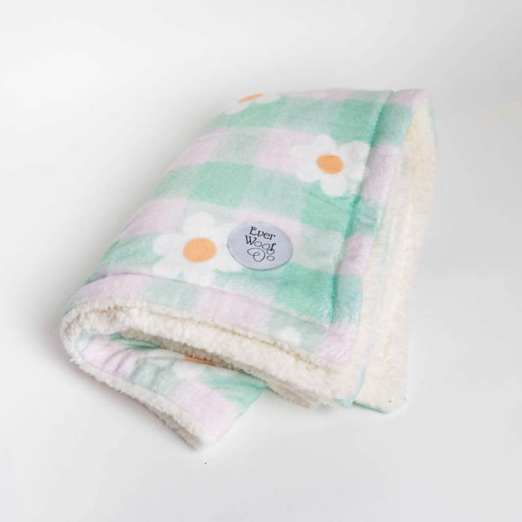 Pet Blanket - Dog  - (2.2ft x 3.2 ft) - (Oopsie Daisy) - (Double-lined Throw) - (While Supplies Last)