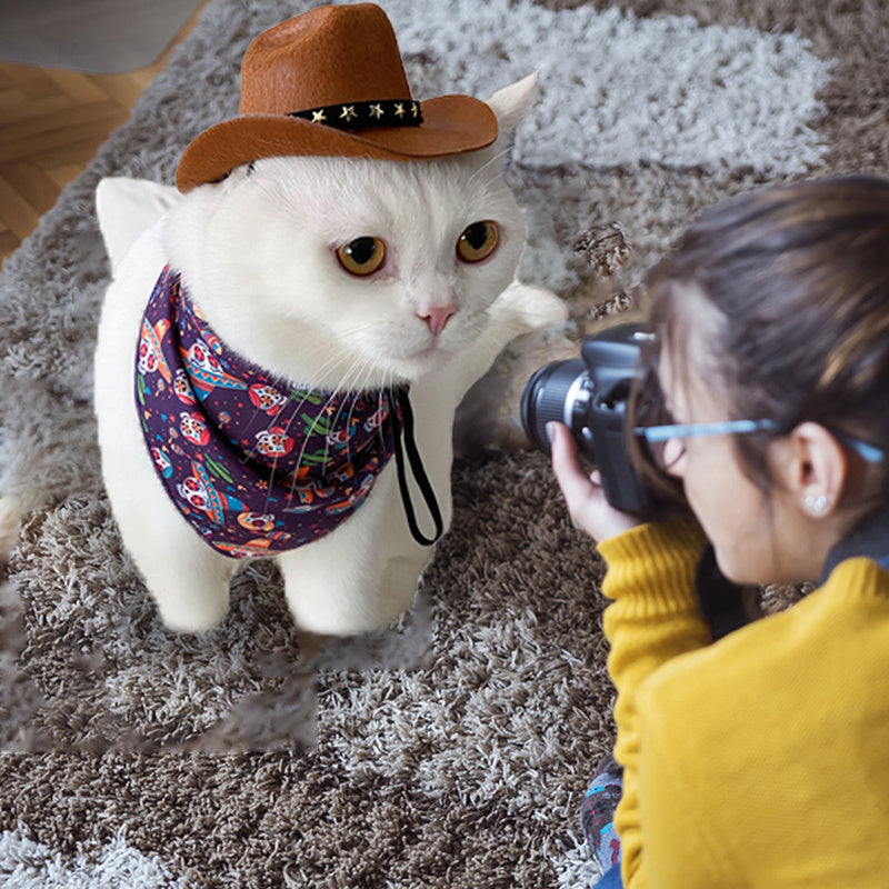 Stylish Cowboy Hat - Dog Cat - (3 Color Options) - (S-M)