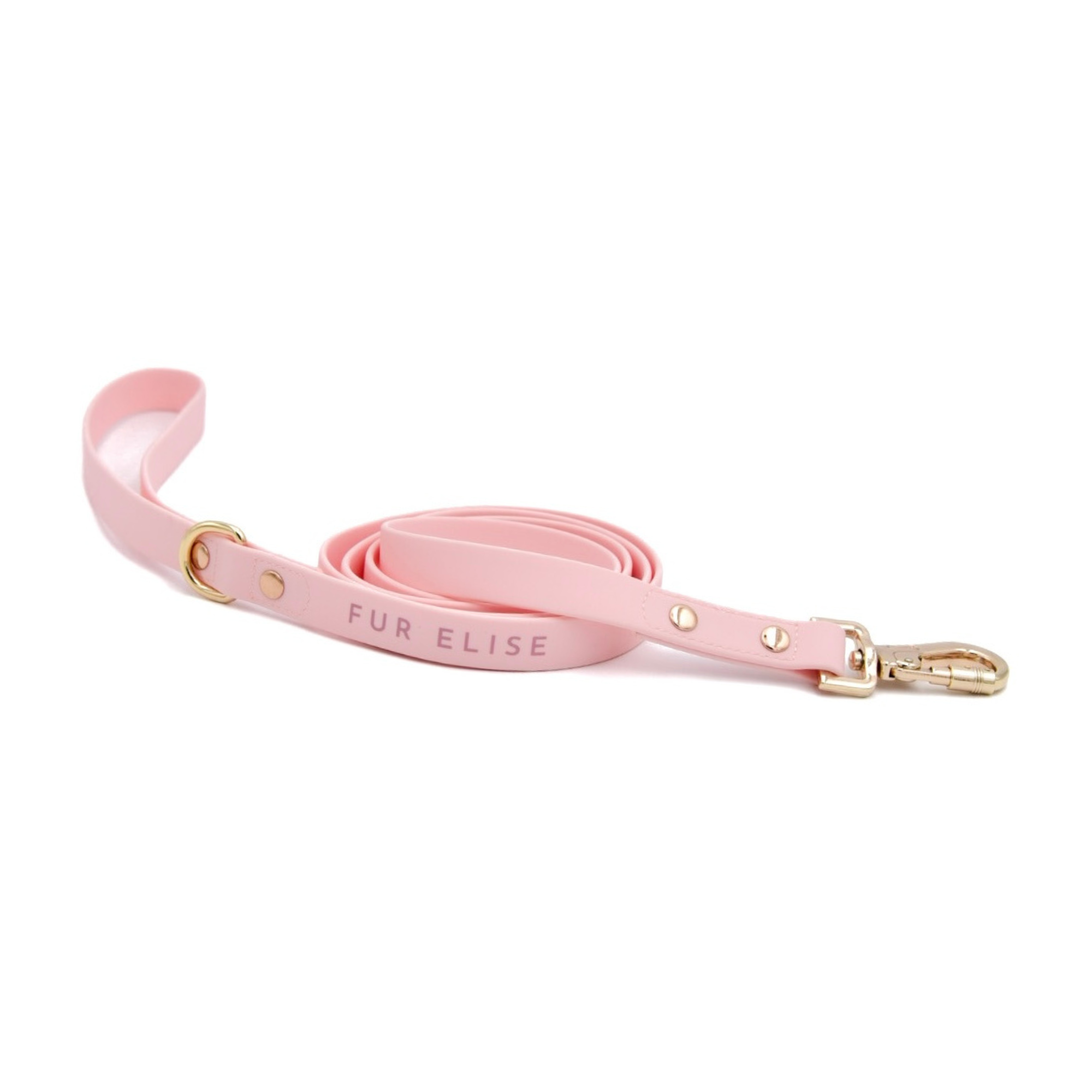 The Ultimate 3-Pc Walk Set - (Rose) - (XS-L) - Dog