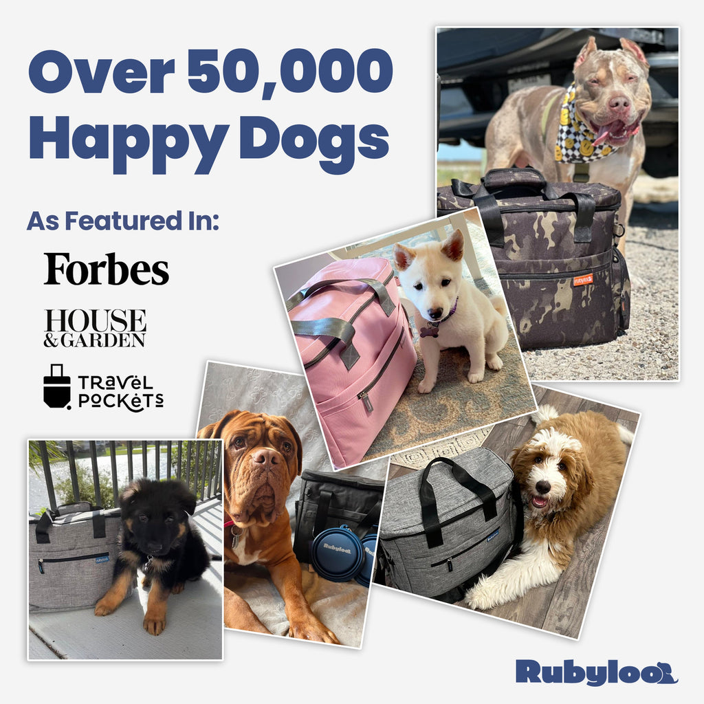 Dog Supplies Travel Bag - (7 Color Options)  - (While Supplies Last)