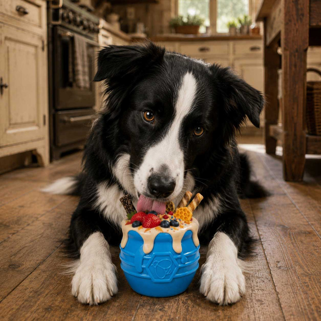 Honey Pot eCup Treat Dispenser Toy - Dog - (L-XL) - (5 Color Options)