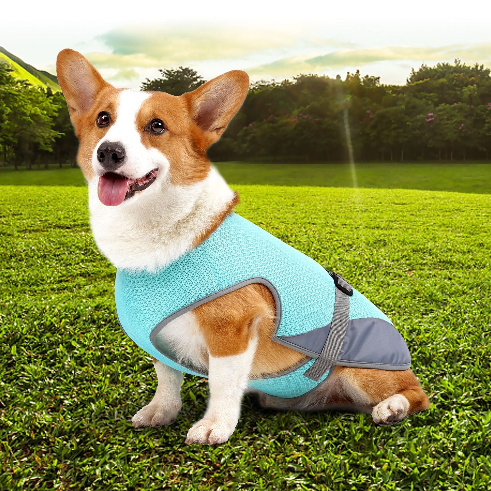 Cooling Summer Vest - Dog - (S-XL) - (Light Grey, Light Blue)