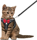Breathable Harness Leash and Vest Set - Cat (Small Pet)