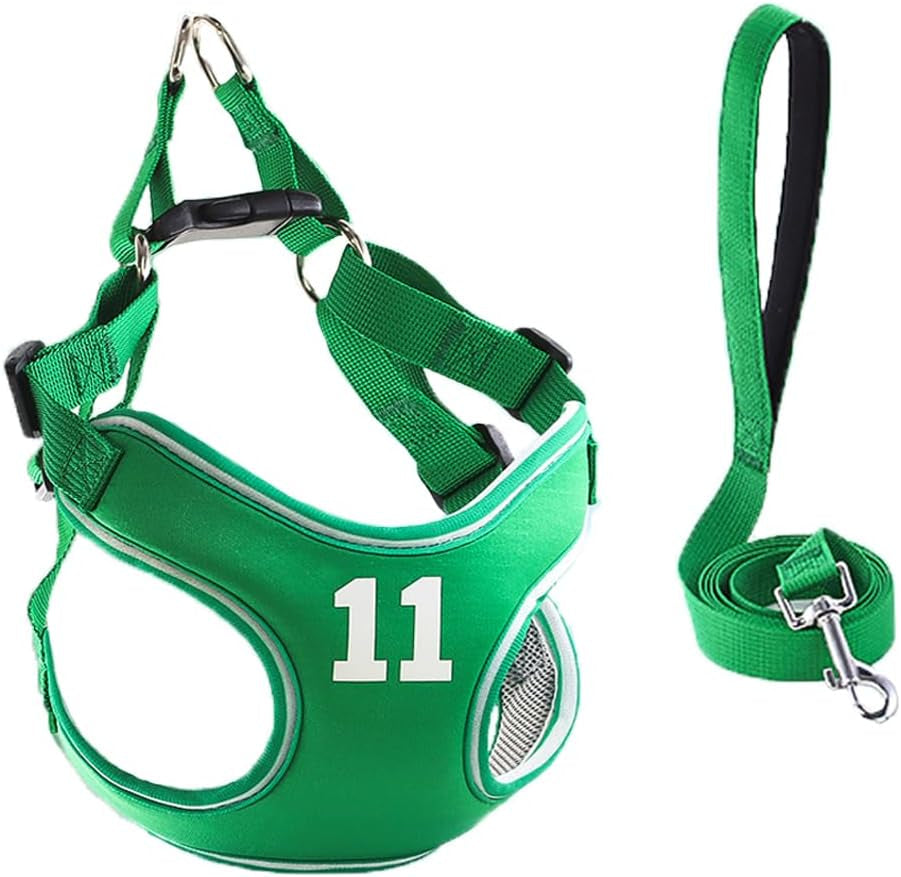 Breathable Harness Leash and Vest Set - Cat (Small Pet)