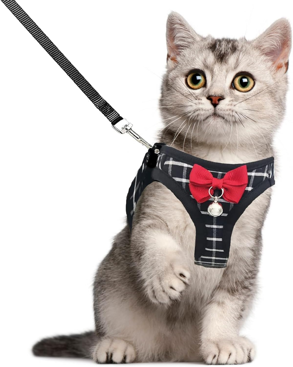 Breathable Harness Leash and Vest Set - Cat (Small Pet)