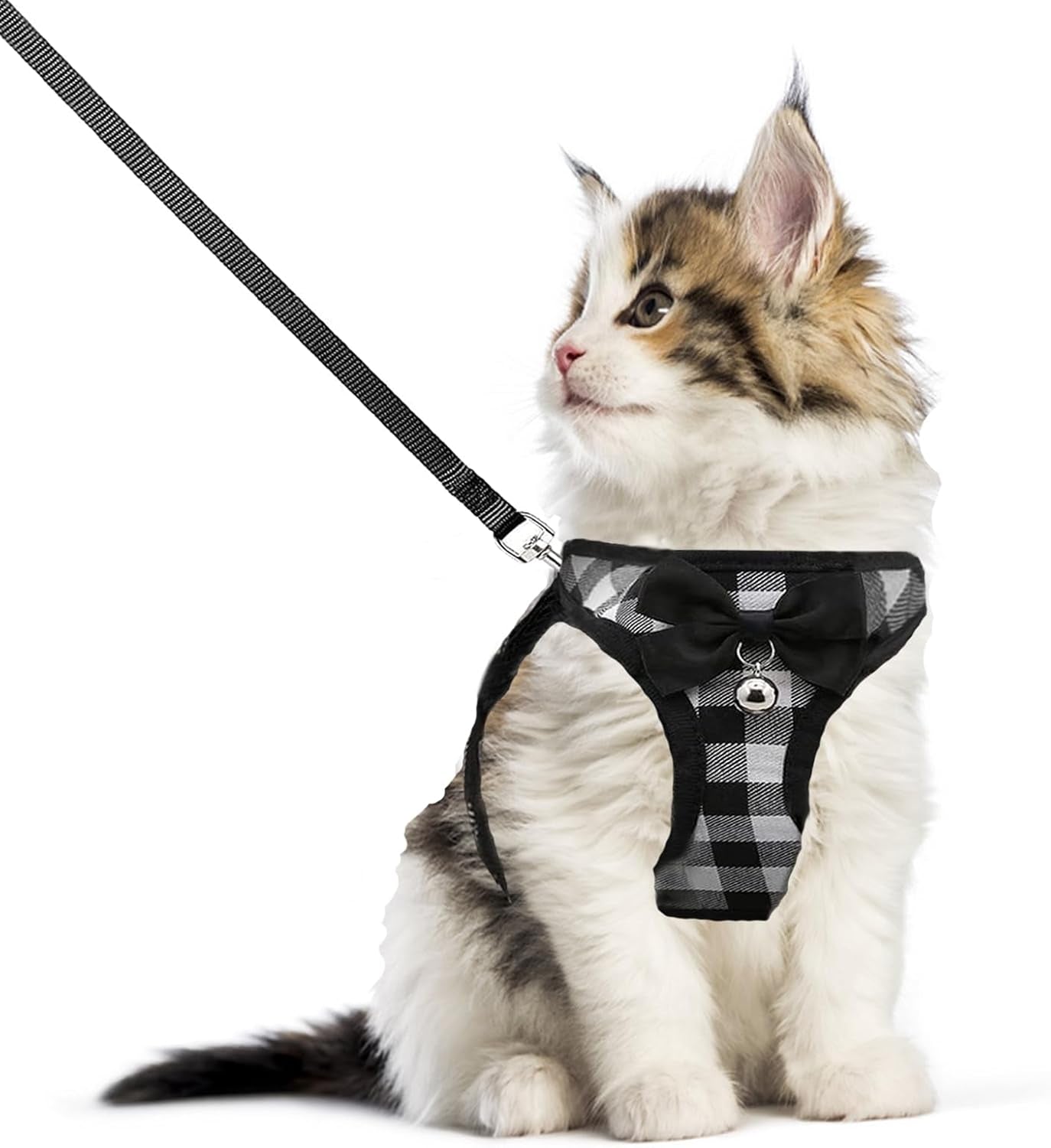 Breathable Harness Leash and Vest Set - Cat (Small Pet)