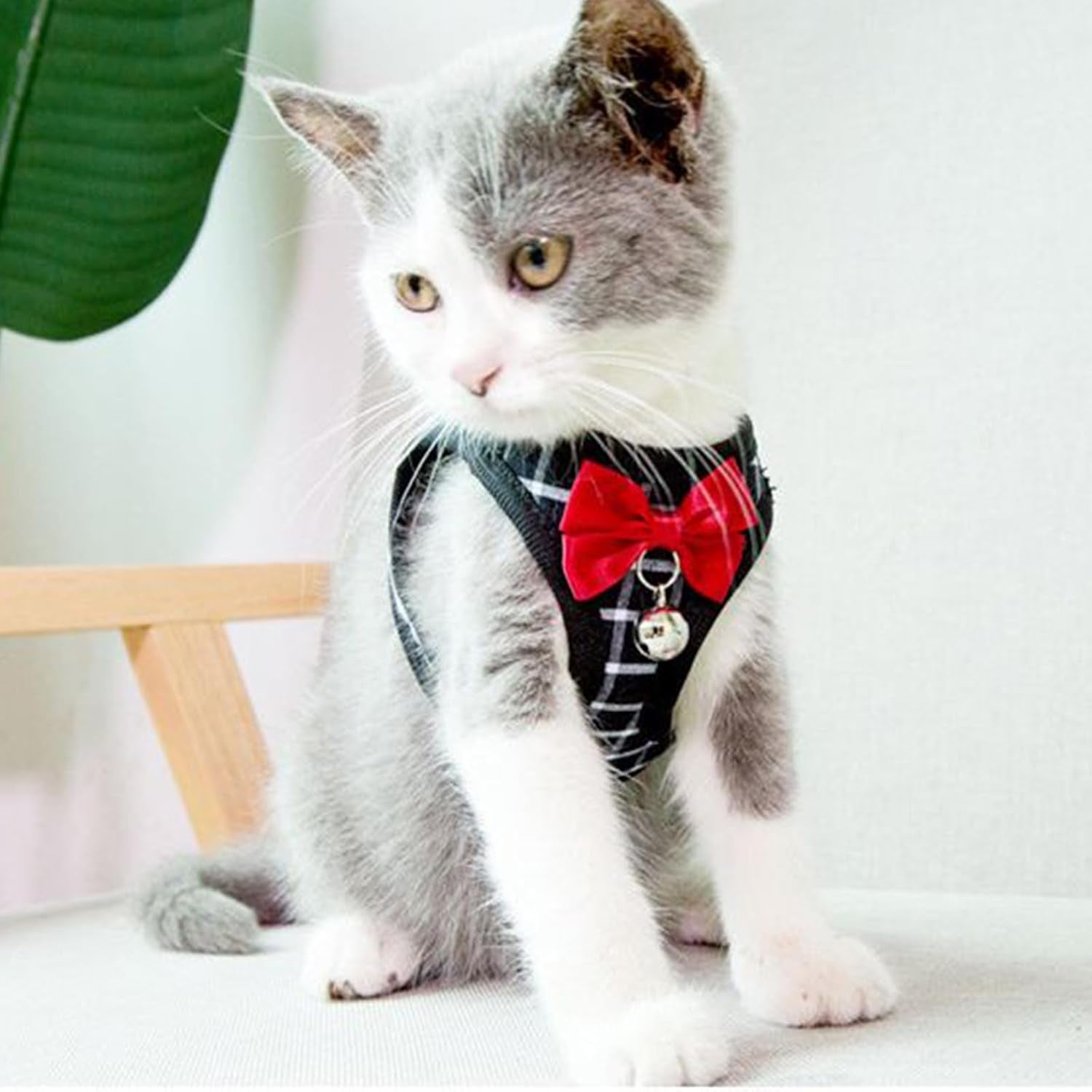 Breathable Harness Leash and Vest Set - Cat (Small Pet)