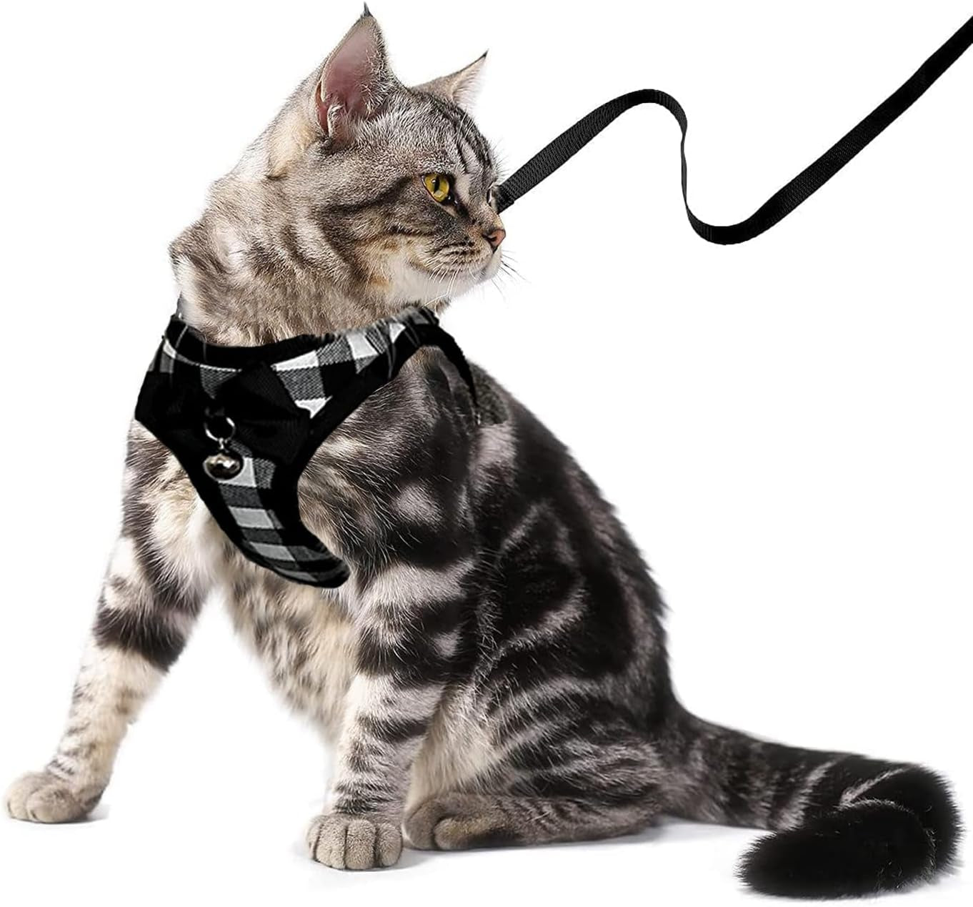 Breathable Harness Leash and Vest Set - Cat (Small Pet)