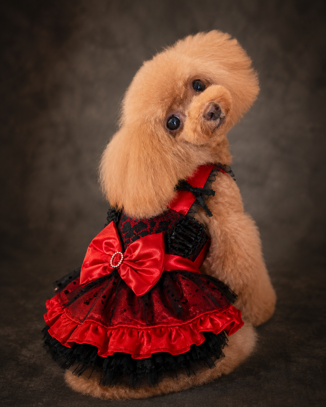 Elegant Gothic Lace Dress - Dog - (Red & Black) - XS-XL) and Customizable - (While Supplies Last)