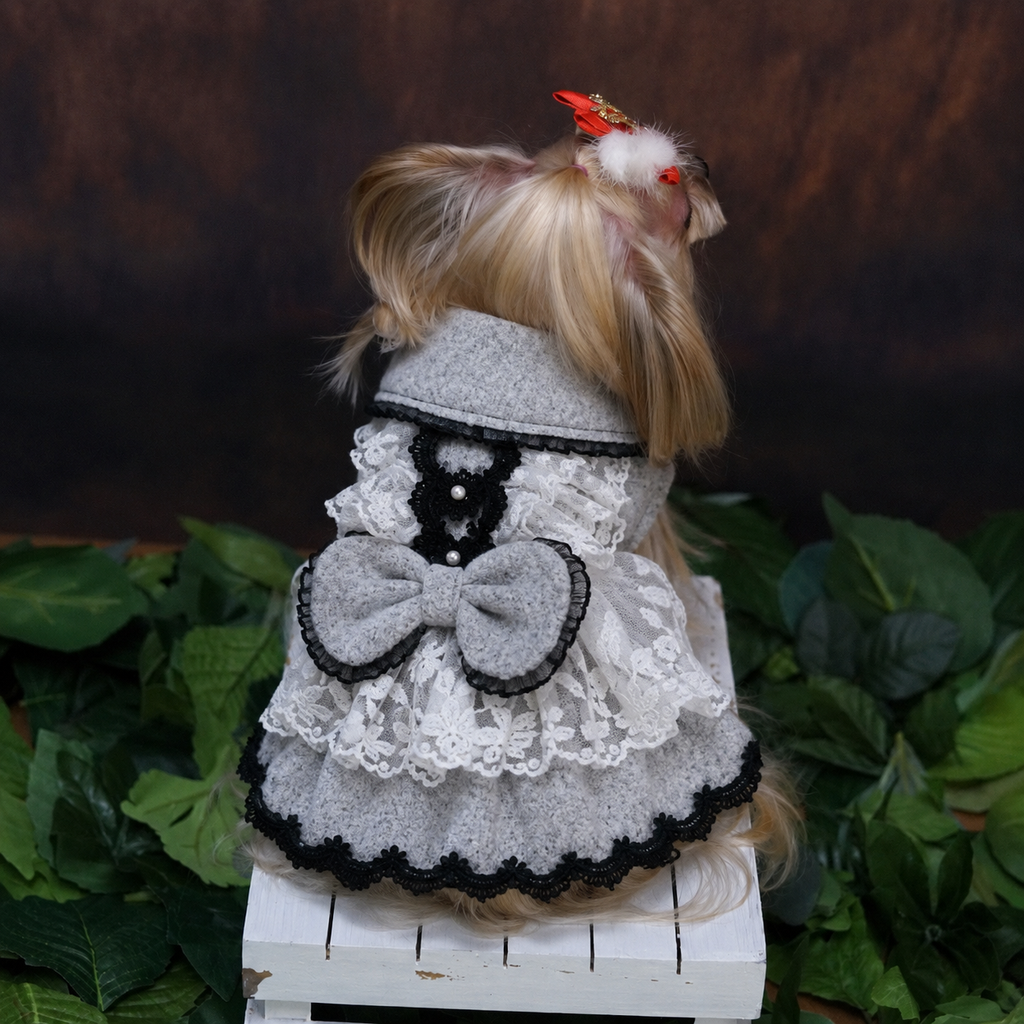 Chic Grey Lace and Wool Coat Dress with Black Accent Trim -  Dog - (XS-XXL) and Customizable - (Grey) - (While Supplies Last)