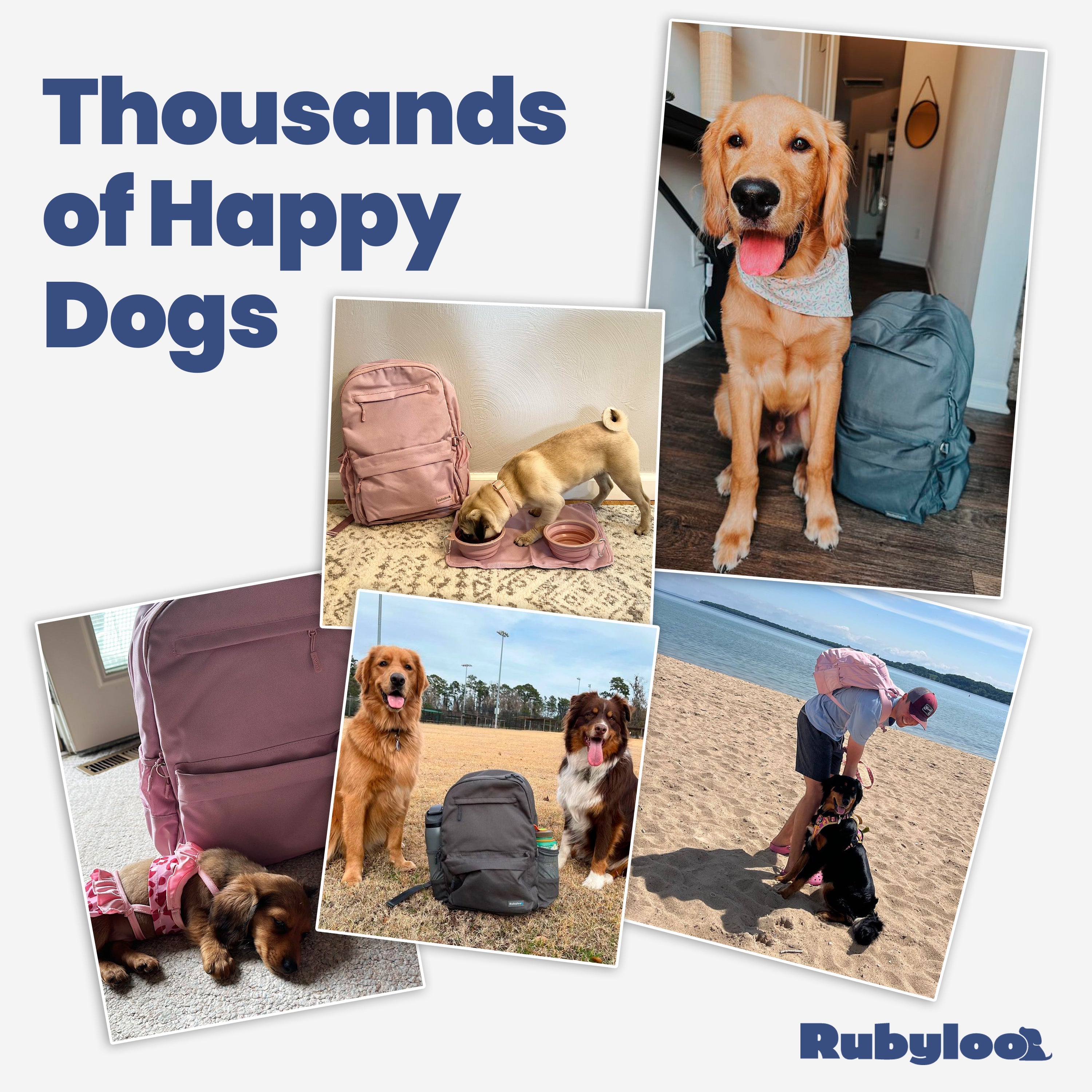 Dog Supplies Backpack - (5 Color Options)