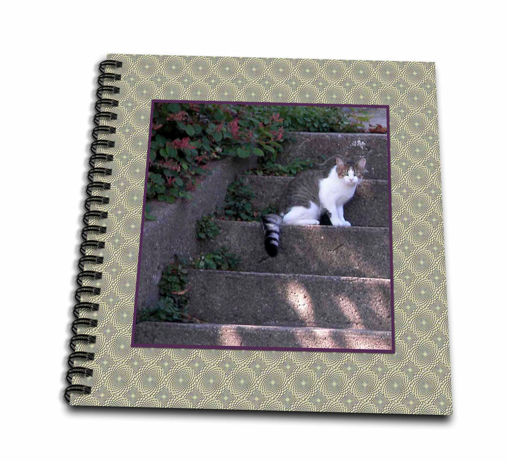 3D Rose Photo of Tabby Cat on Cement Steps - Drawing Books - (While Supplies Last)
