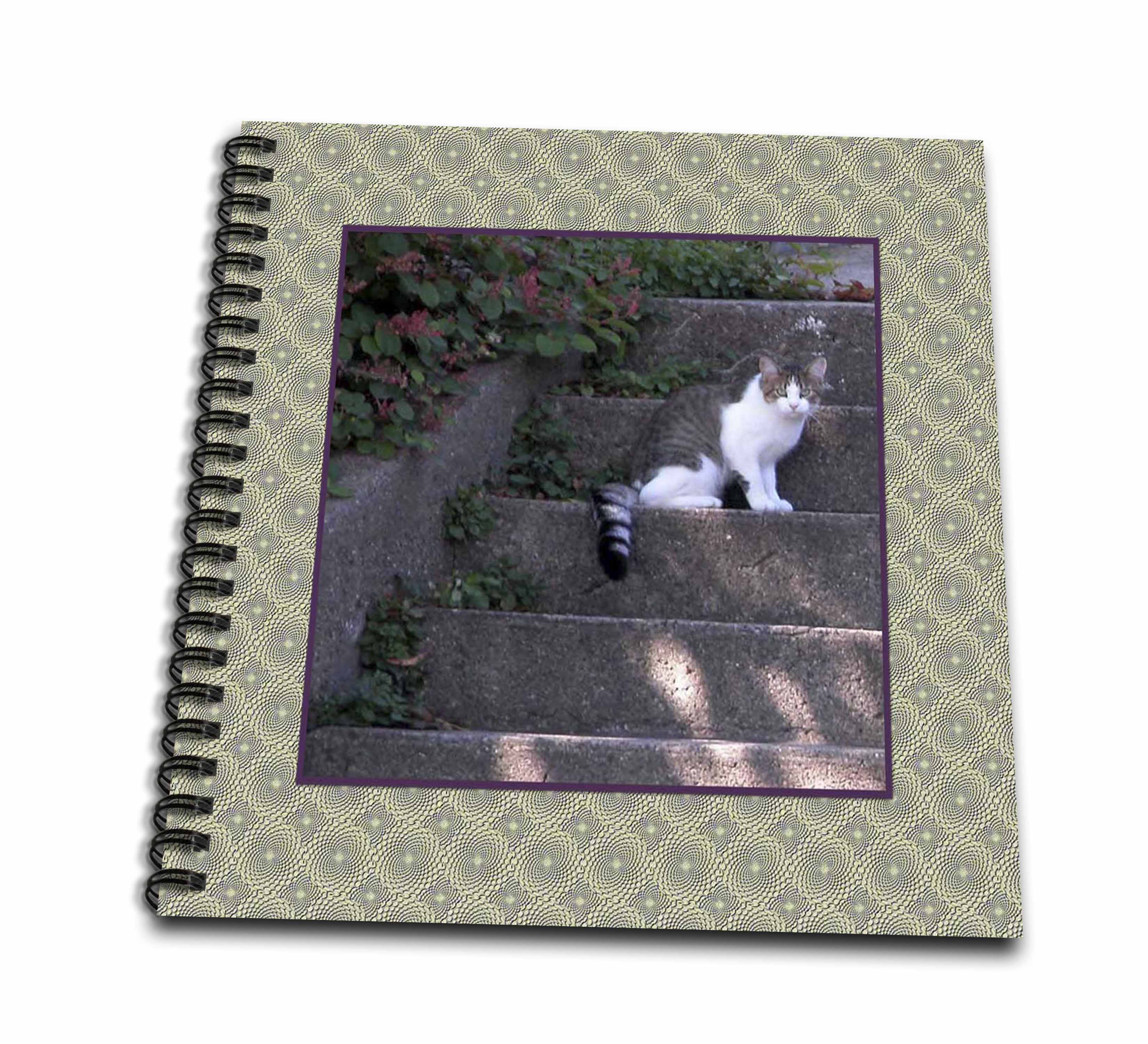 3D Rose Photo of Tabby Cat on Cement Steps - Drawing Books - (While Supplies Last)