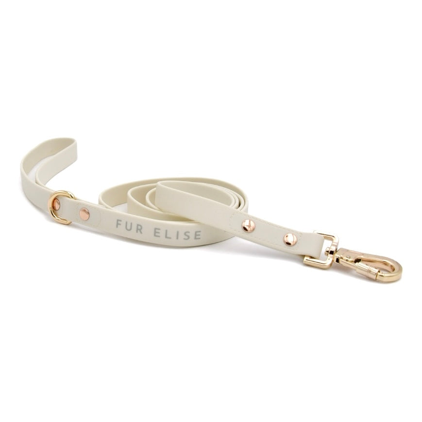 The Ultimate 3-Pc Walk Set - (Bone White) - (XS-L) - Dog