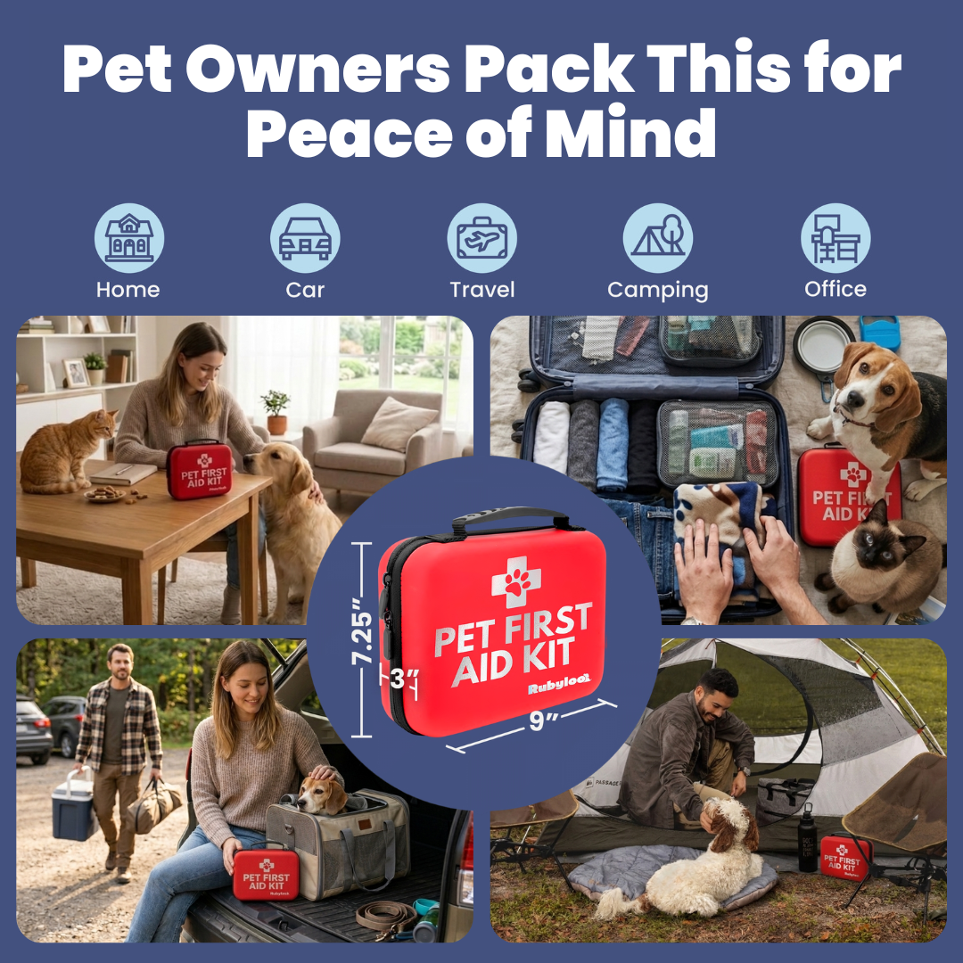Emergency Preparedness Vet Approved First Aid Kit - Dog Cats