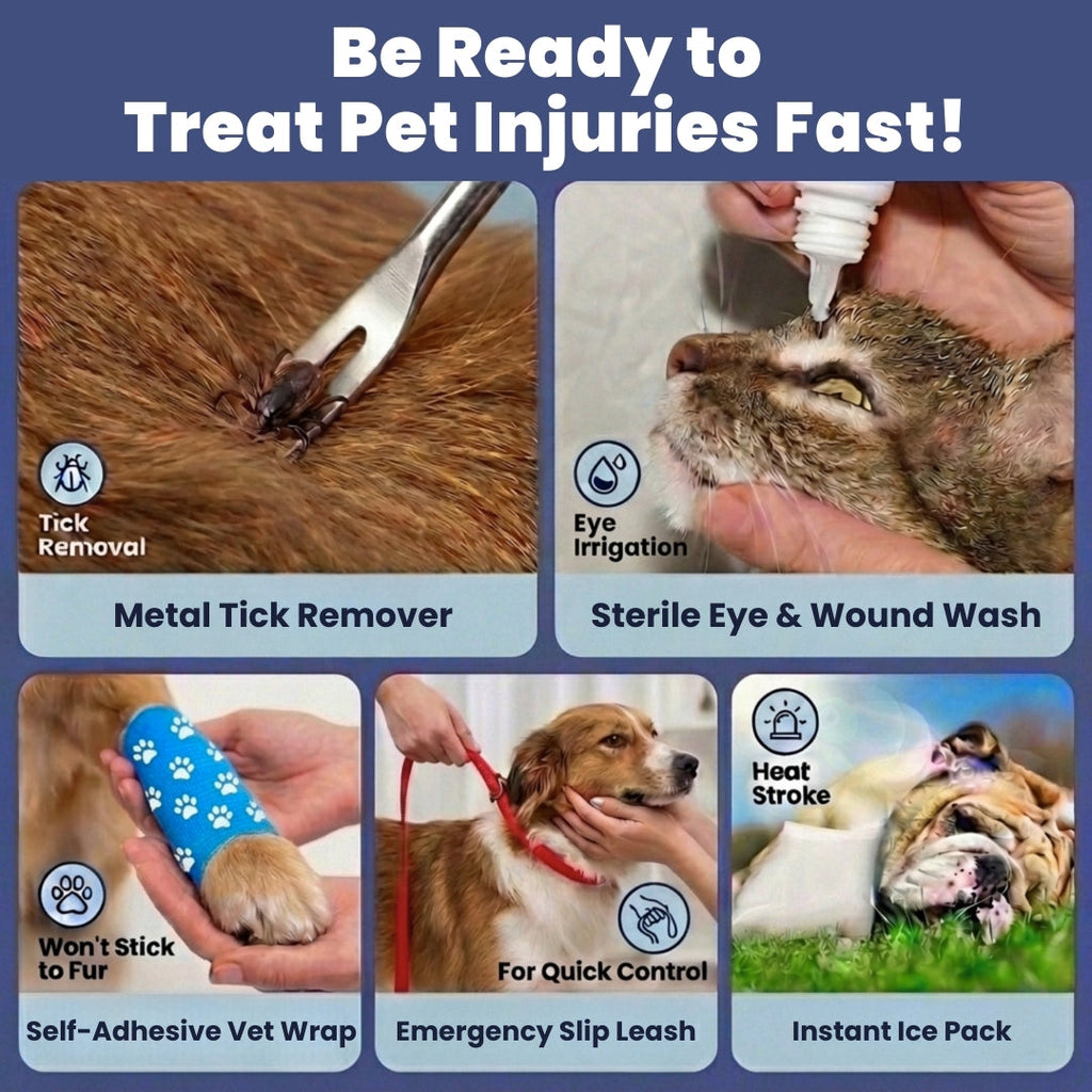 Emergency Preparedness Vet Approved First Aid Kit - Dog Cats