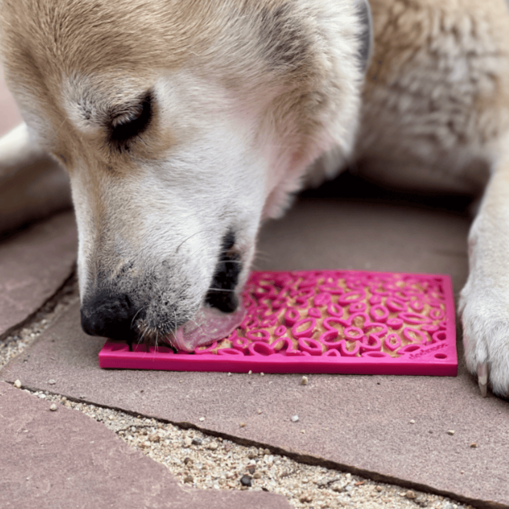 Enrichment Lick Mats - Cat -  (5 Colors/Patterns) - (While Supplies Last)