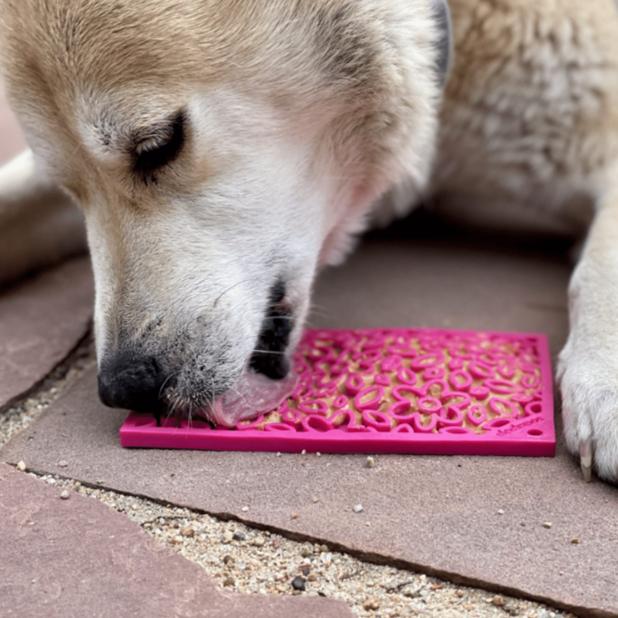 Enrichment Lick Mats - Cat -  (5 Colors/Patterns) - (While Supplies Last)
