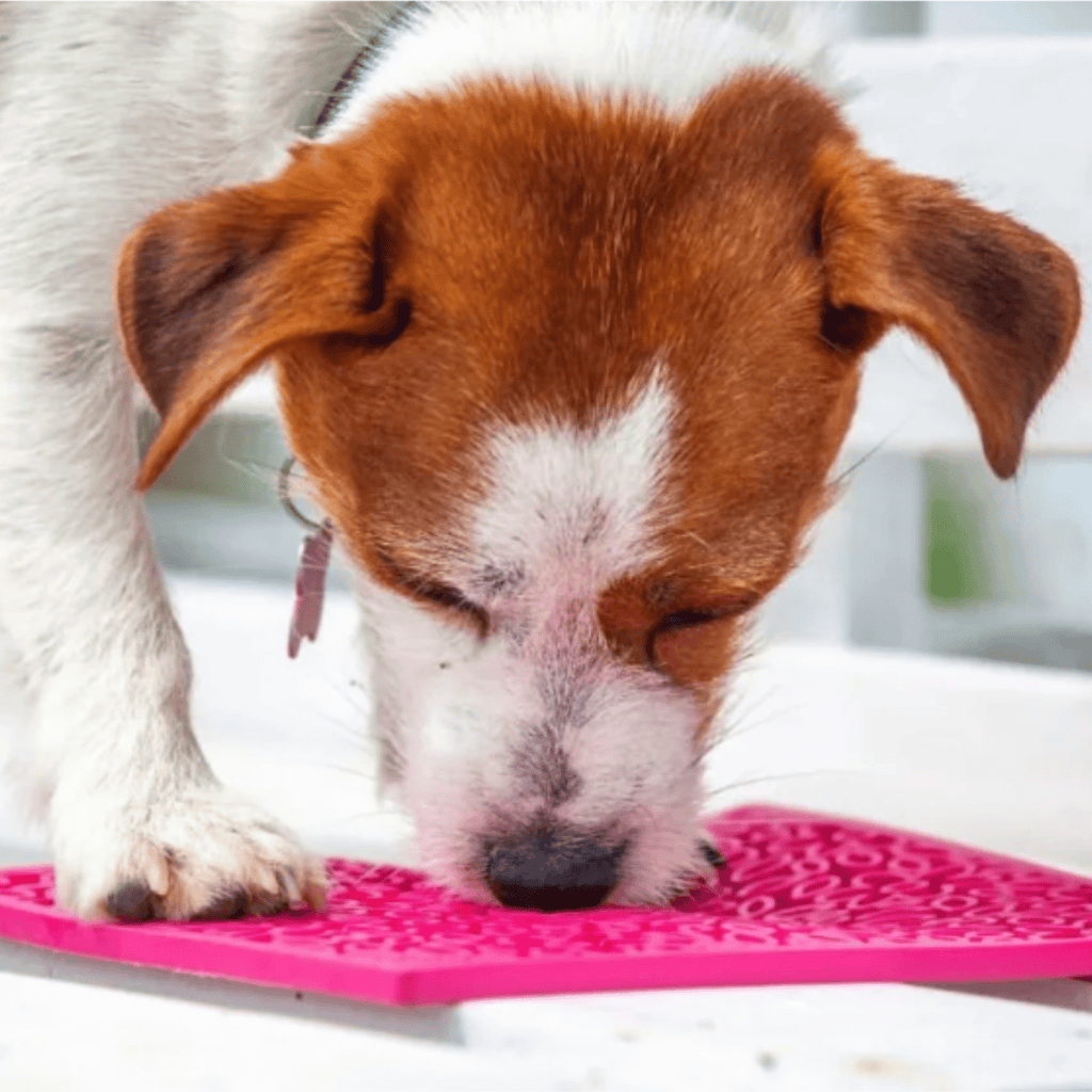 Enrichment Lick Mats - Cat -  (5 Colors/Patterns) - (While Supplies Last)