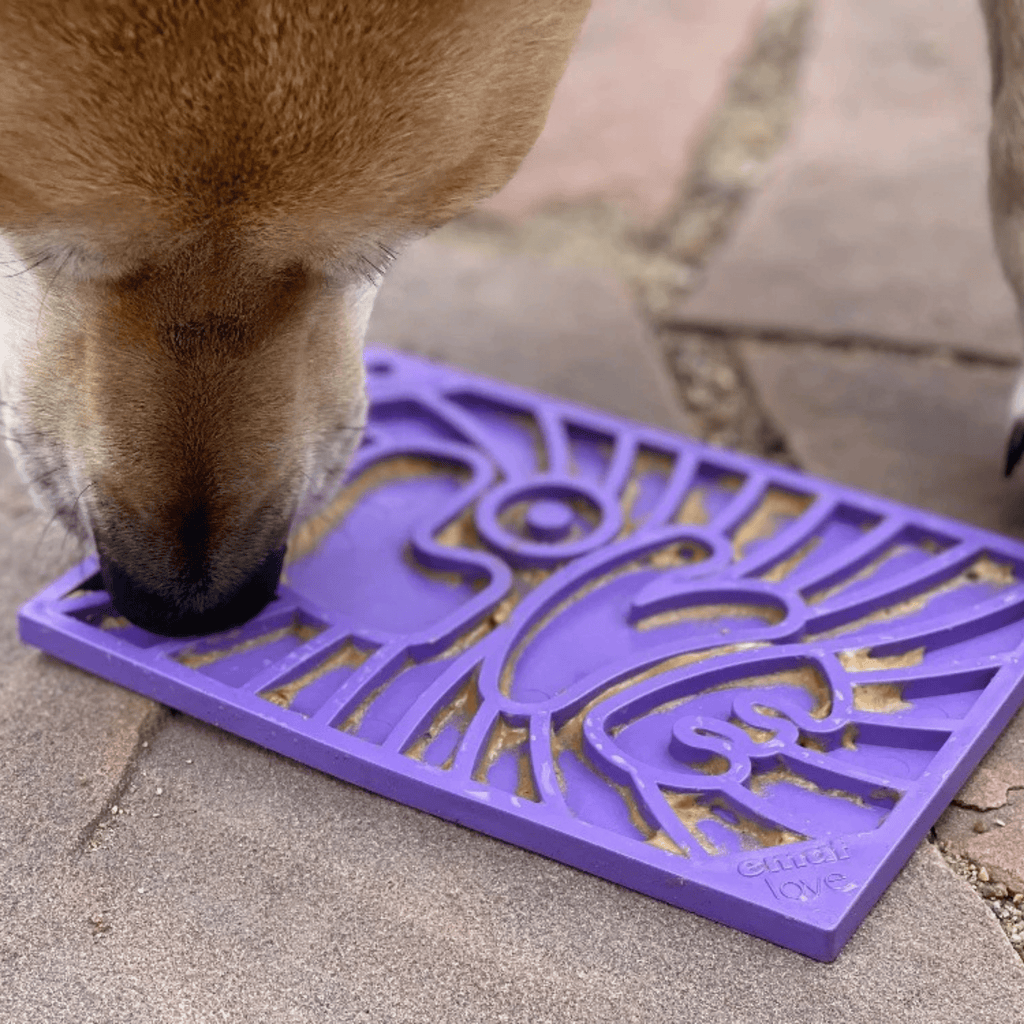 Enrichment Lick Mats - Cat -  (5 Colors/Patterns) - (While Supplies Last)