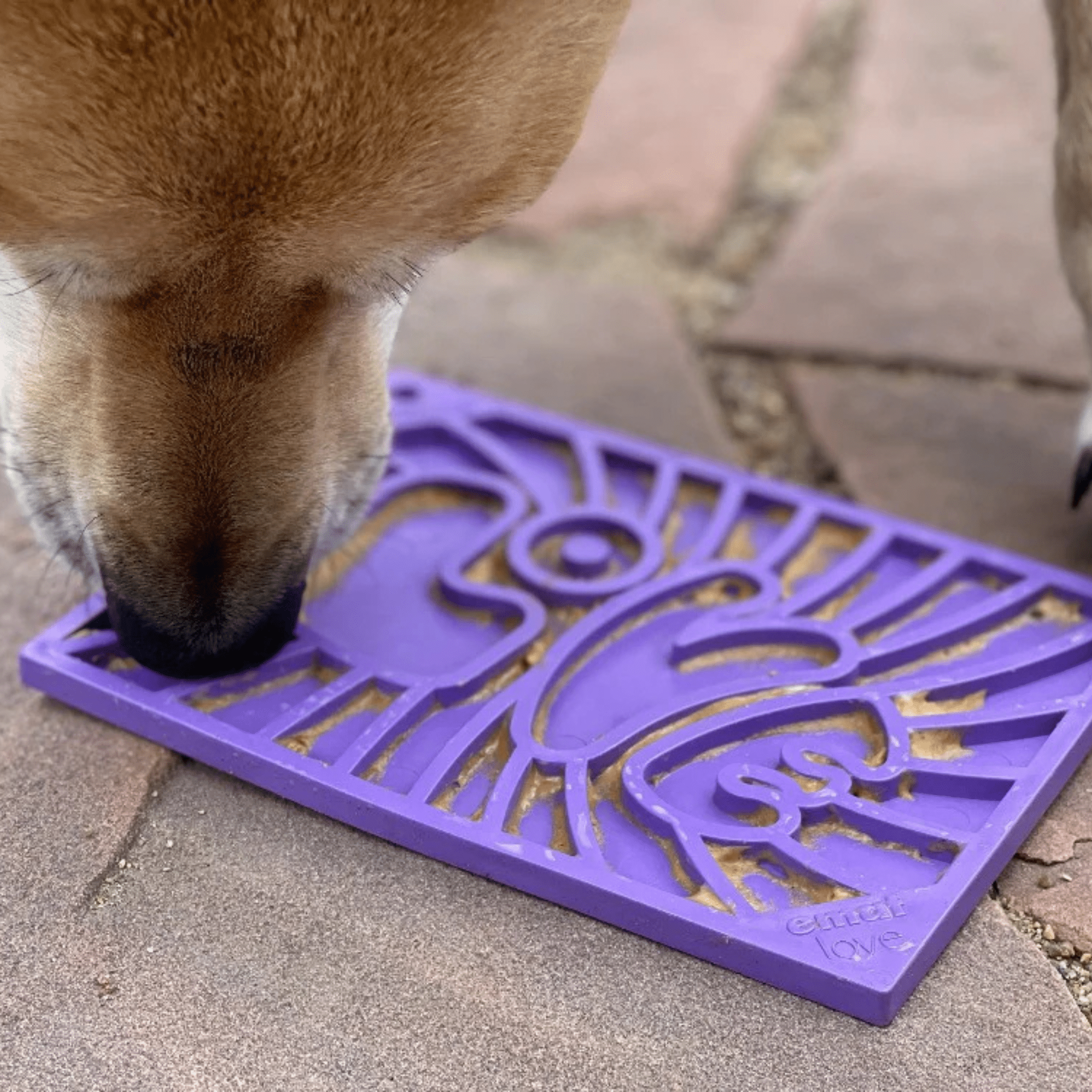 Enrichment Lick Mats - Cat -  (5 Colors/Patterns) - (While Supplies Last)